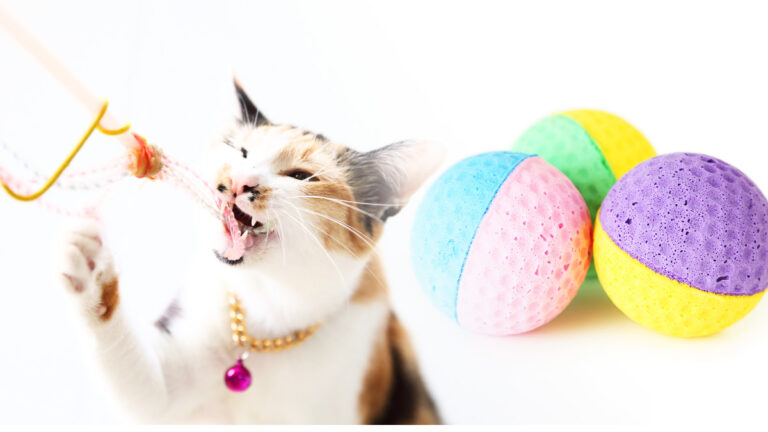 Les mystères derrière le comportement des chats à faire tomber des objets expliqués