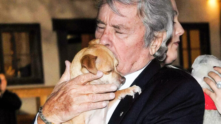 alain-delon-et-son-amour-pour-les-animaux-un-hommage-emouvant-de-la-fondation-30-millions-damis6676