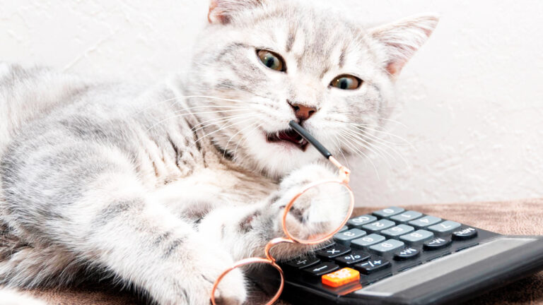 combien-de-chats-peuplent-la-france-et-quel-impact-cela-a-t-il-sur-notre-environnement6941