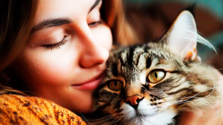 comment-proteger-votre-chat-contre-lherpes-virose-symptomes-traitements-et-conseils-de-prevention7219