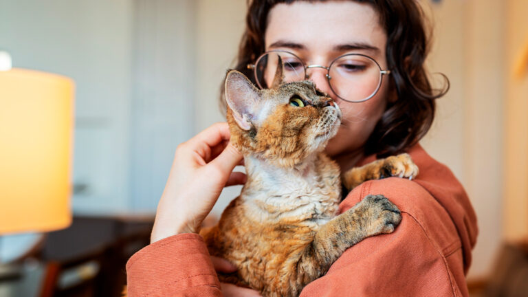 comment-une-jeune-chatte-aveugle-trouve-du-reconfort-et-une-nouvelle-vie-avec-son-adoptante-devouee6500