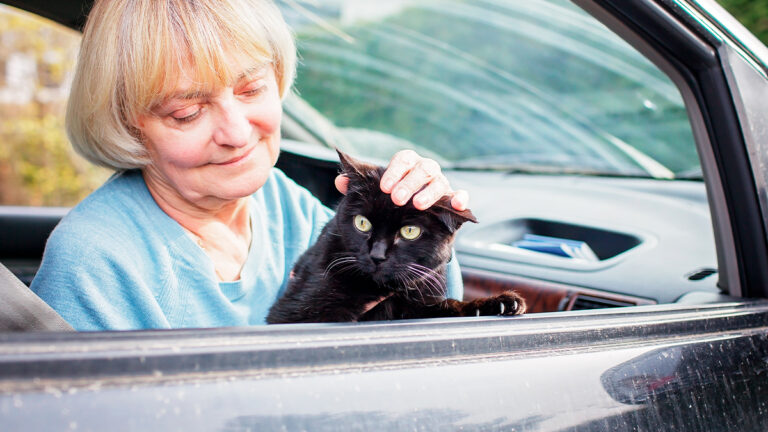 le-sauvetage-emouvant-dulma-une-chatte-piegee-dans-le-moteur-dune-voiture6514