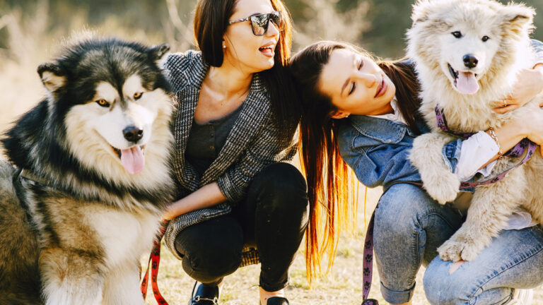 les-5-races-de-chiens-a-la-duree-de-vie-la-plus-courte-un-apercu-poignant