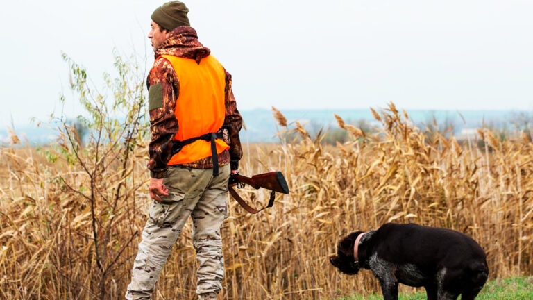 les-chiffres-alarmants-de-la-chasse-en-france-une-perspective-qui-inquiete6679