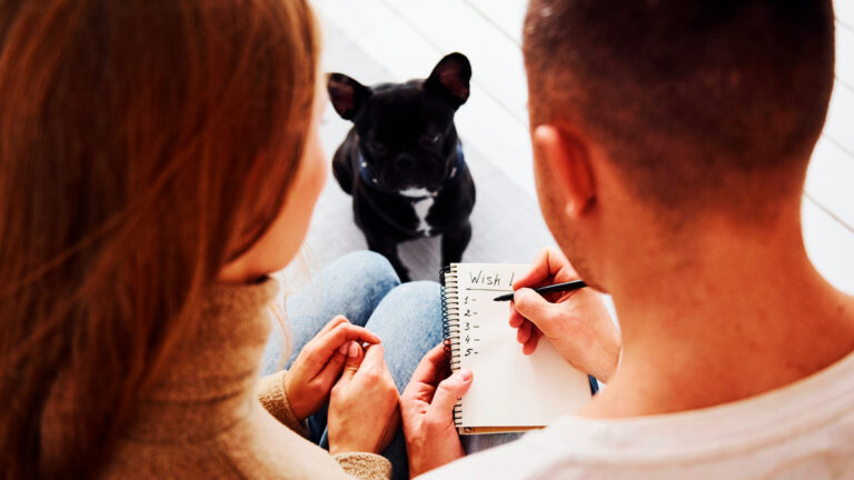les-conseils-essentiels-pour-une-adoption-reussie-de-votre-futur-compagnon-canin6519