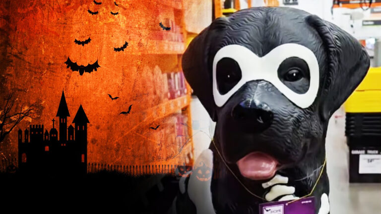 pour-halloween-un-proprietaire-offre-un-double-squelettique-a-son-labrador-leur-rencontre-est-inattendue