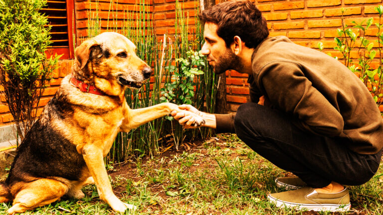 quand-le-jardin-devient-un-danger-lhistoire-dune-chienne-qui-a-frole-la-catastrophe-apres-une-simple-balade-6479