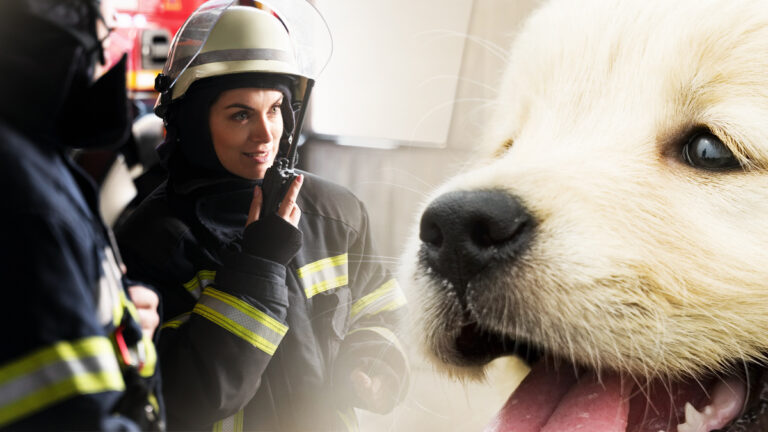 quand-les-pompiers-de-virginie-interviennent-pour-sauver-un-chiot-la-scene-qui-les-attend-est-pour-le-moins-inattendue