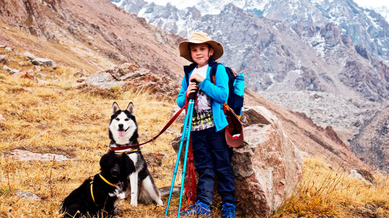 un-randonneur-suit-un-chien-errant-a-5000-metres-et-trouve-la-survie6824