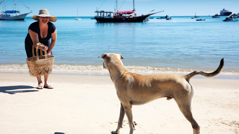 une-vacanciere-et-son-chien-forment-un-trio-inattendu-avec-un-chien-errant-lors-dune-escapade6523