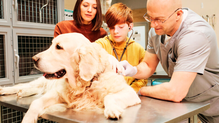 une-visite-veterinaire-couteuse-pour-maggie-revele-une-surprise-inattendue6518