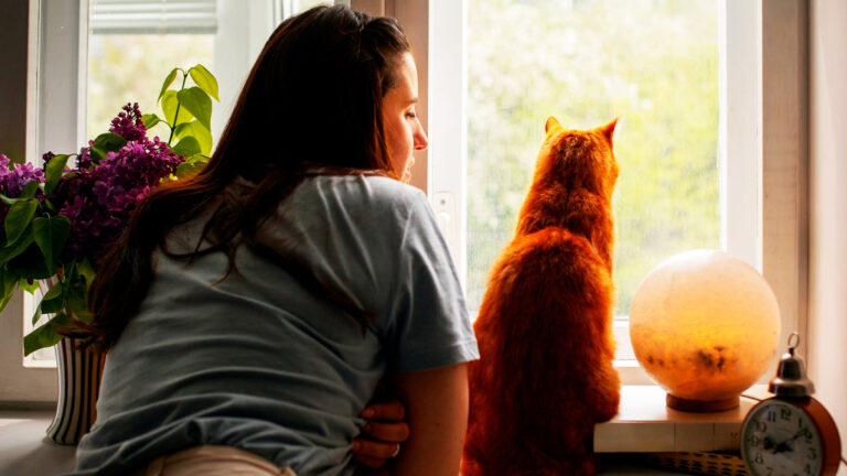 votre-chat-prefere-la-maison-du-voisin-voici-comment-le-garder-plus-pres-de-chez-vous7264