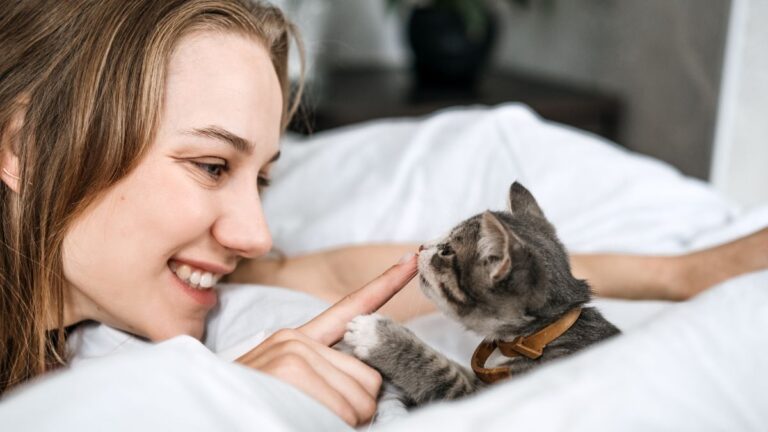 adopter-chaton