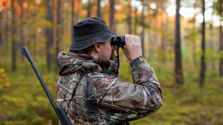 chasse-statistiques