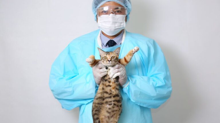 chat-asurances-medical