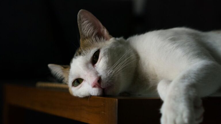 chat-depression