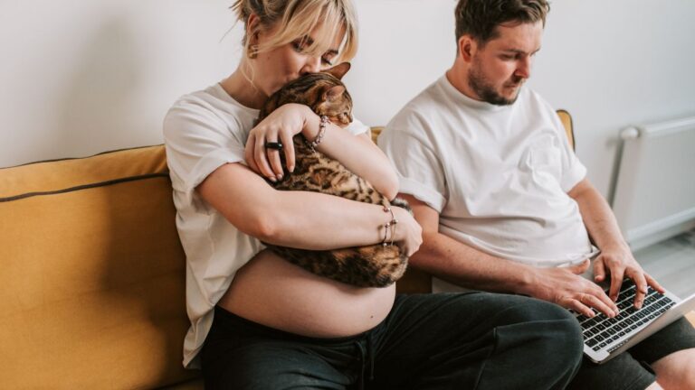chat-grossesse