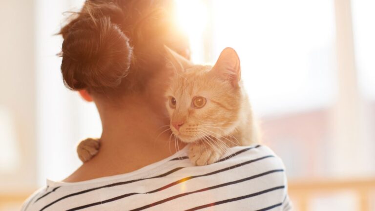 chat-homme-femme