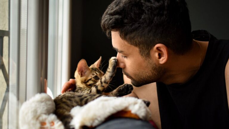 chat-lien