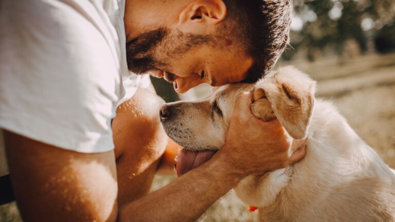 chien-age-solidarite