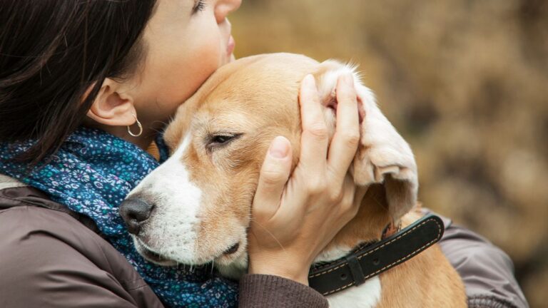 chien-tendresse