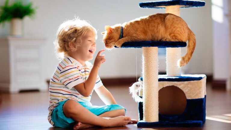 enfant-chat