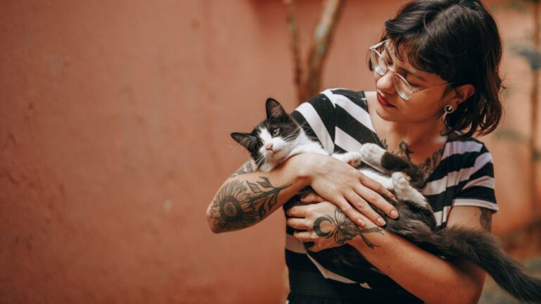 porter-chat