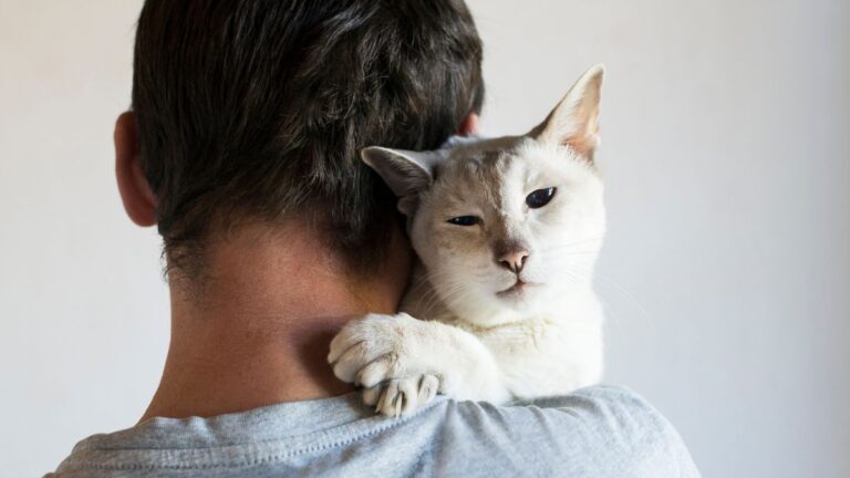 chat-relation