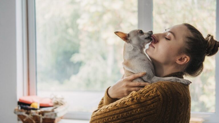 chien-maitresse-cancer