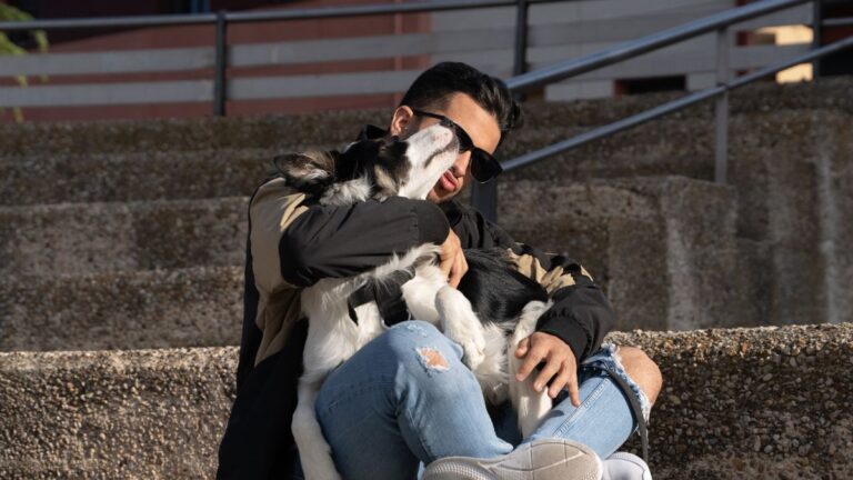 chien-retrouve-maitre