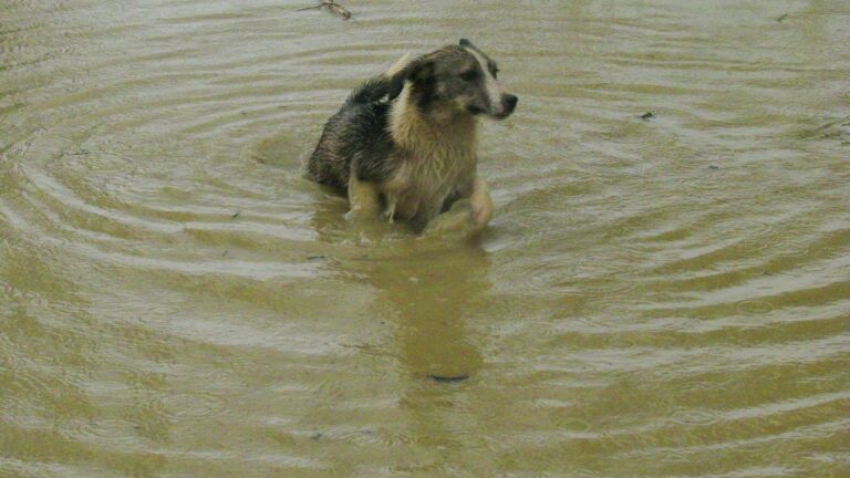 inondations