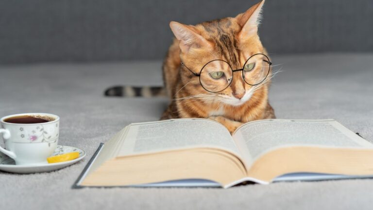 livre-animaux