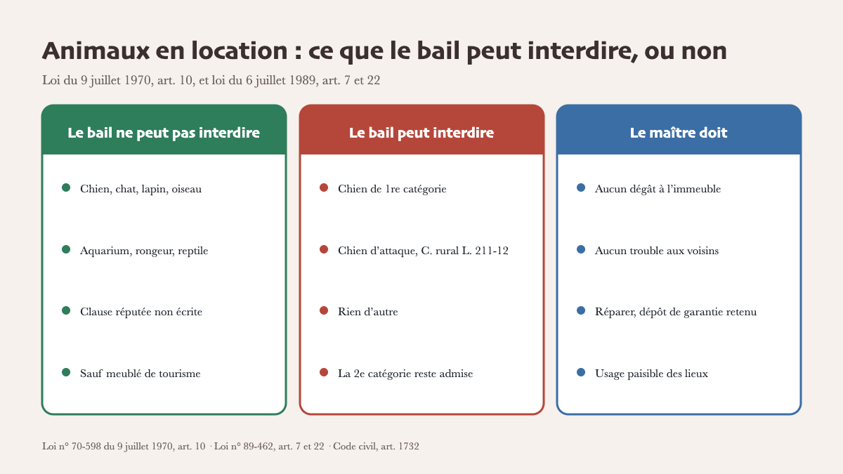 Chien, chat ou lapin en location : ce que le bail peut interdire, et ce que le maître doit au propriétaire